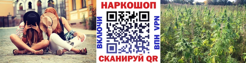 Что такое Рошаль ГАШИШ  Канабис  СК  ОМГ ОМГ рабочий сайт  Меф мяу мяу 