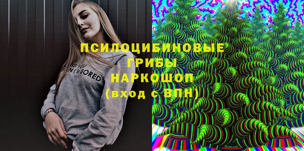 ГАЛЛЮЦИНОГЕННЫЕ ГРИБЫ Армянск