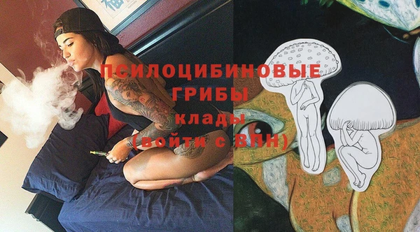 ГАЛЛЮЦИНОГЕННЫЕ ГРИБЫ Армянск